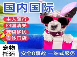 黔南荔波机场货运国际宠物托运 【国